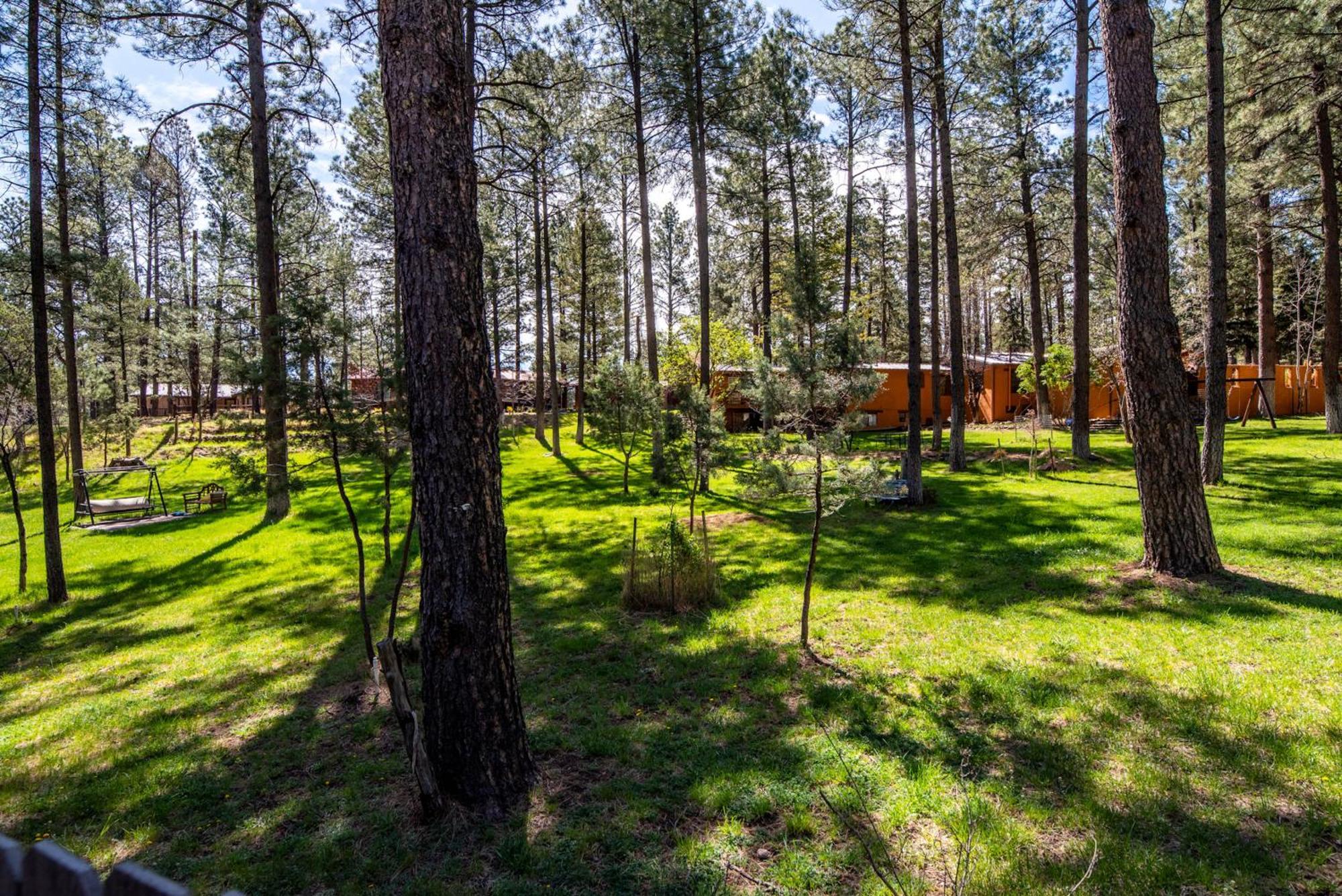 Vila Rustic Pines Retreat Ruidoso Pokoj fotografie